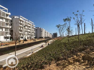 شقة 3 غرف نوم للبيع في الساحل الشمالي، مطروح - IMG-20250806-WA0131. jpg