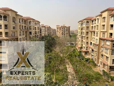 4 Bedroom Flat for Sale in Madinaty, Cairo - WhatsApp Image 2026-04-16 at 3.24. 30 PM (2). jpeg 4 Bedroom Flat for Sale in Madinaty, Cairo - WhatsApp Image 2026-04-16 at 3.24. 30 PM (2). jpeg
