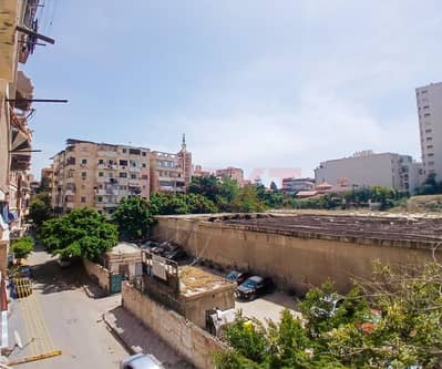 شقة 3 غرف نوم للبيع في كفر عبدو، الإسكندرية - WhatsApp Image 2026-04-16 at 11.04. 21 AM. JPG شقة 3 غرف نوم للبيع في كفر عبدو، الإسكندرية - WhatsApp Image 2026-04-16 at 11.04. 21 AM. JPG