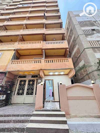 شاليه 2 غرفة نوم للبيع في النخيل، الإسكندرية - 1000800692. jpg