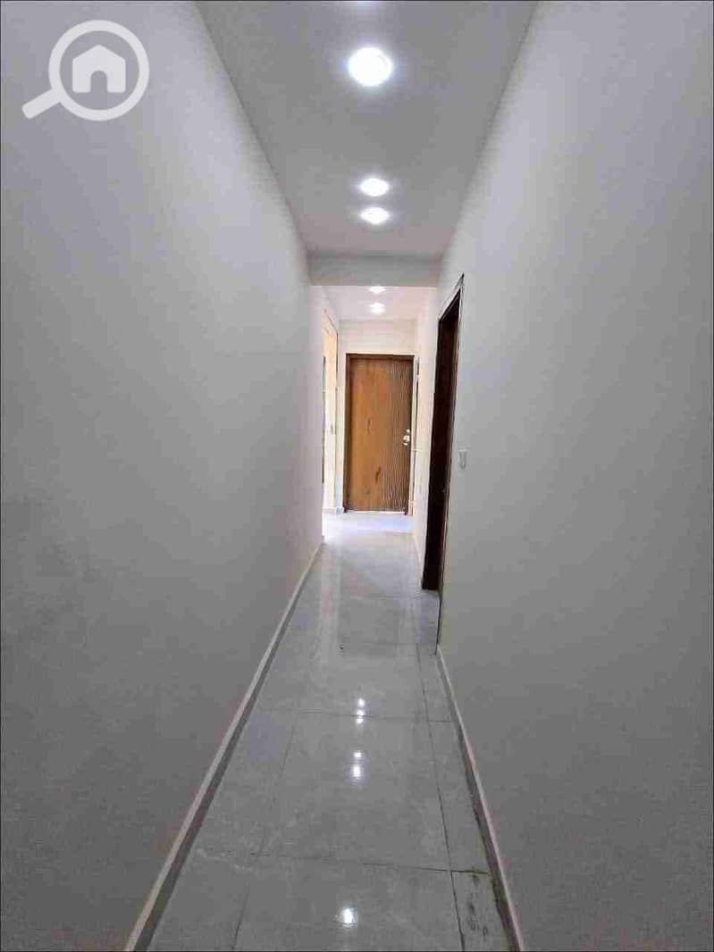 3 157636. jpg