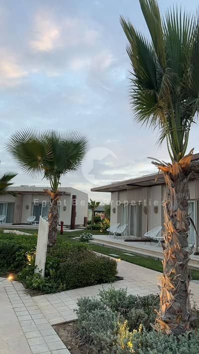 1 Bedroom Cabin for Sale in North Coast, Matruh - WhatsApp Image 2026-04-16 at 10.31. 23 PM. jpeg