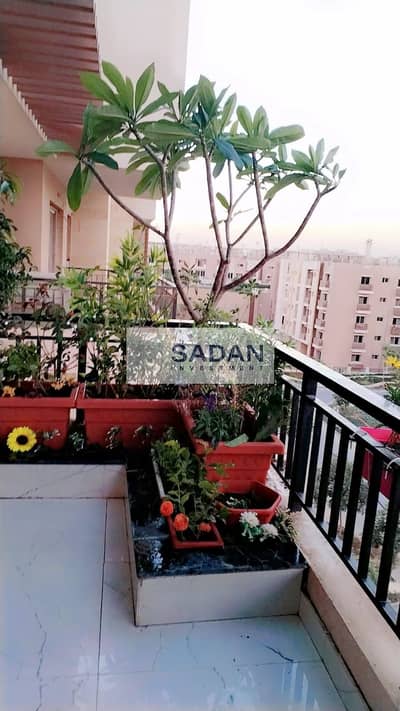 دوبلكس 5 غرف نوم للبيع في القاهرة الجديدة، القاهرة - WhatsApp Image 2026-04-15 at 15.06. 19. jpeg