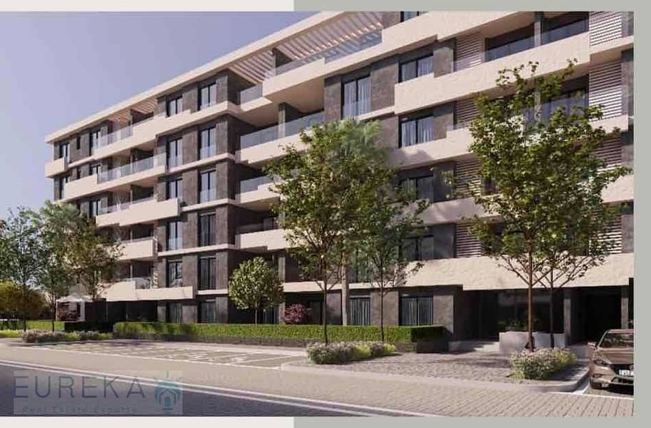10 IMG_2379. jpg