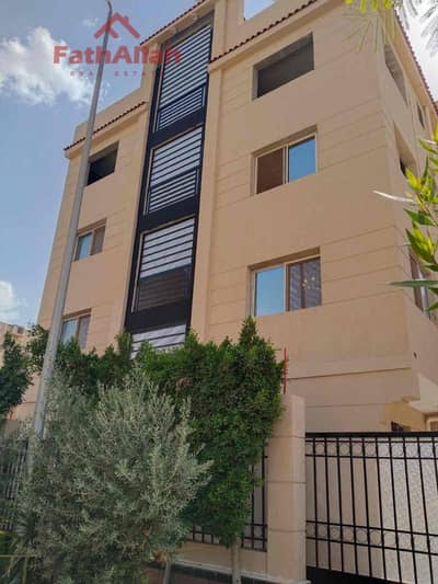 مصنع للايجار في القاهرة الجديدة، القاهرة - e4c37fc8-7e86-4421-af20-4d54b077cec5. jpg مصنع للايجار في القاهرة الجديدة، القاهرة - e4c37fc8-7e86-4421-af20-4d54b077cec5. jpg