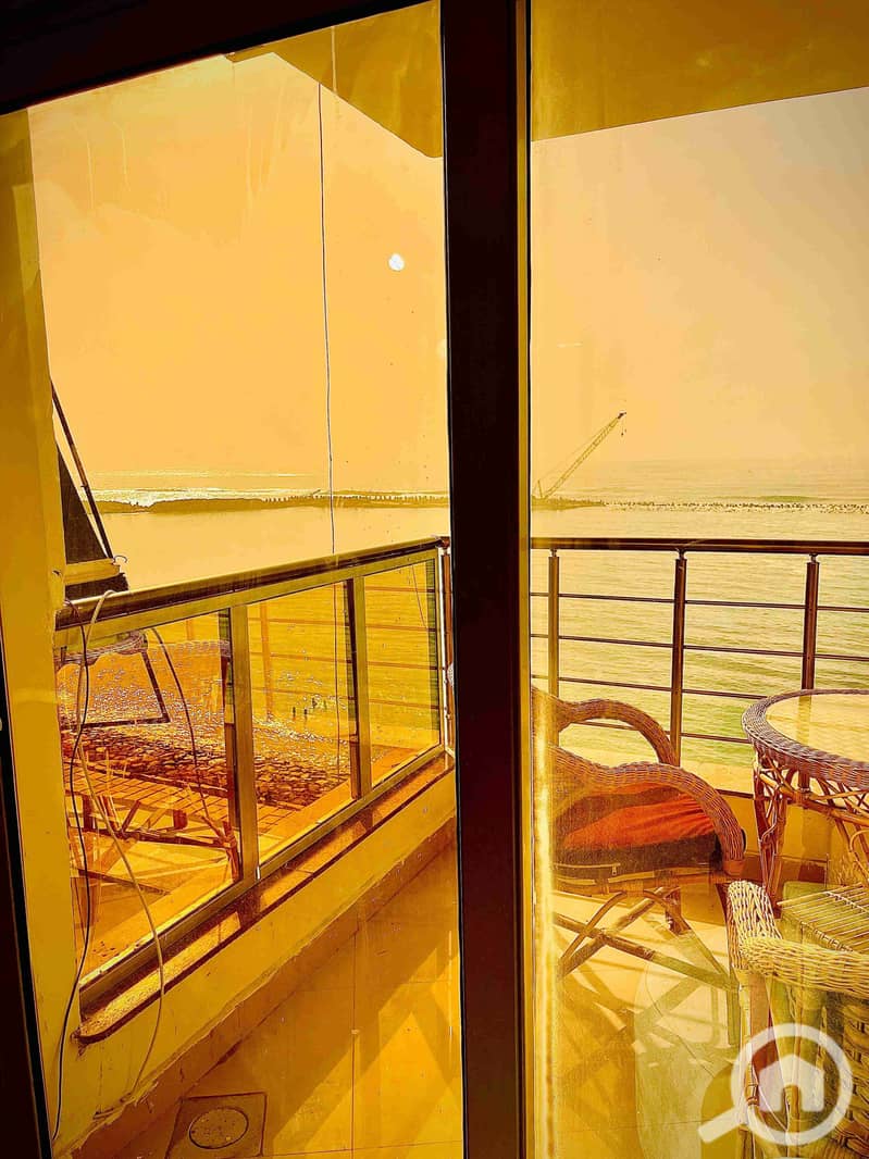 20 1000646843. jpg