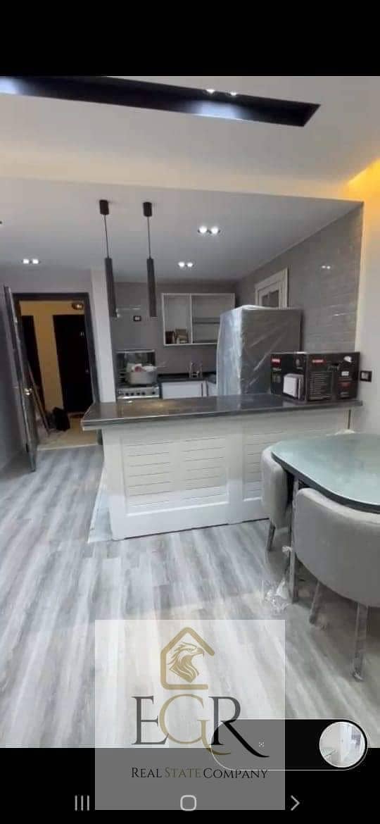Furnished apartment for rent in Madinaty next to Craft Zone, - Więcej