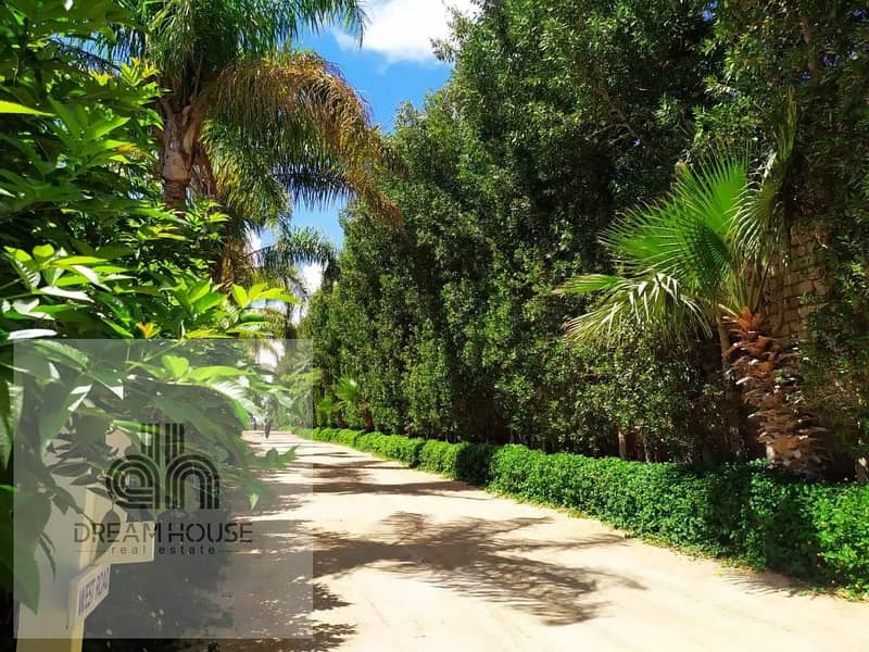 Lowest Price in Hacienda White – Cabin for Rent - Ansicht 3