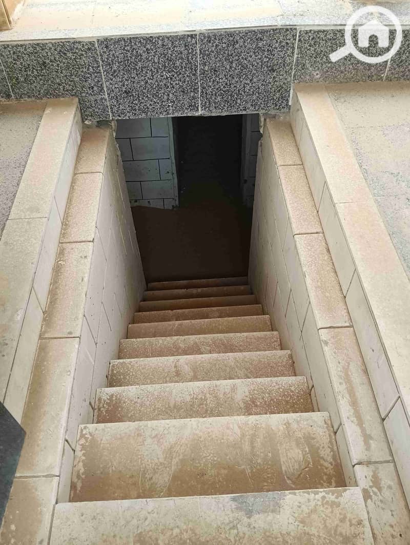 7 1000087914. jpg