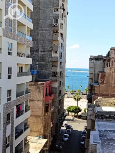 3 Bedroom Other Residential for Sale in Azarita, Alexandria - WhatsApp Image 2026-04-08 at 8.00. 22 PM. jpeg
