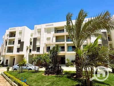 2 Bedroom Apartment for Sale in Sheraton, Cairo - WhatsApp Image 2026-04-14 at 3.36. 17 PM. jpeg 2 Bedroom Apartment for Sale in Sheraton, Cairo - WhatsApp Image 2026-04-14 at 3.36. 17 PM. jpeg