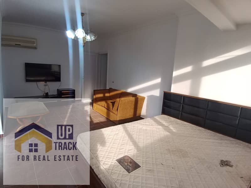 Apartment for Sale in Zamalek – 2nd Floor, 3 Bedrooms, 2 Bathrooms – pohled 4