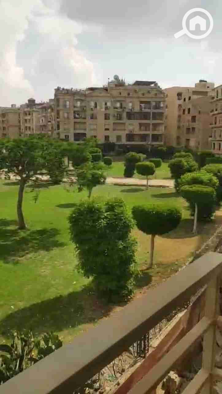 3 36346. jpg