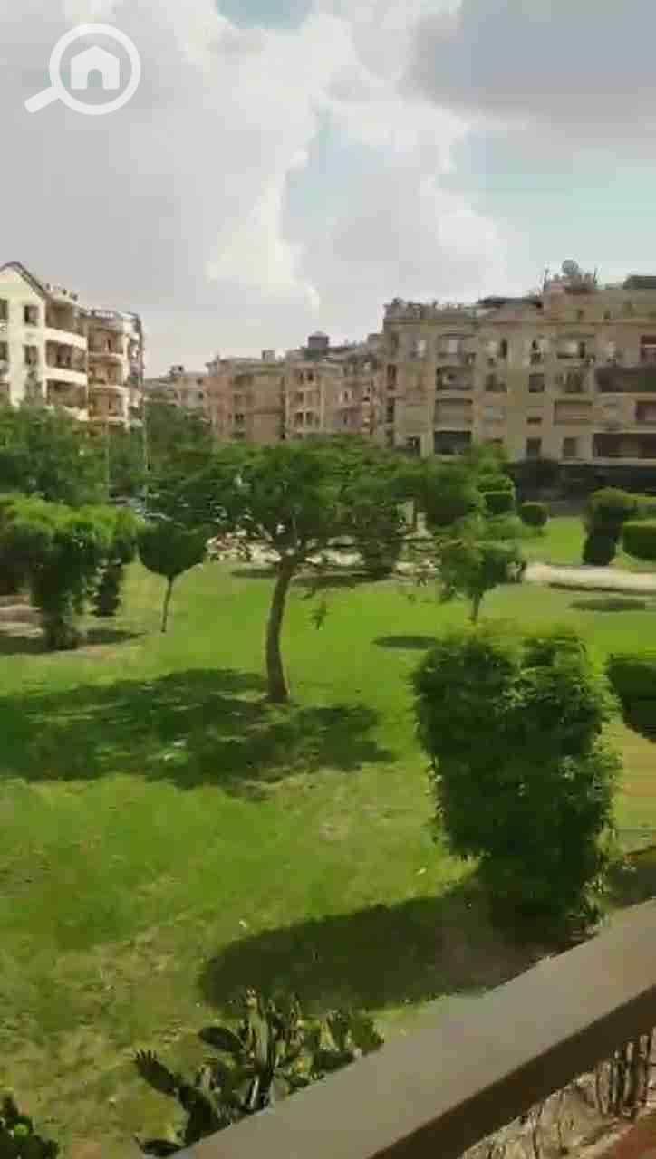 4 36349. jpg