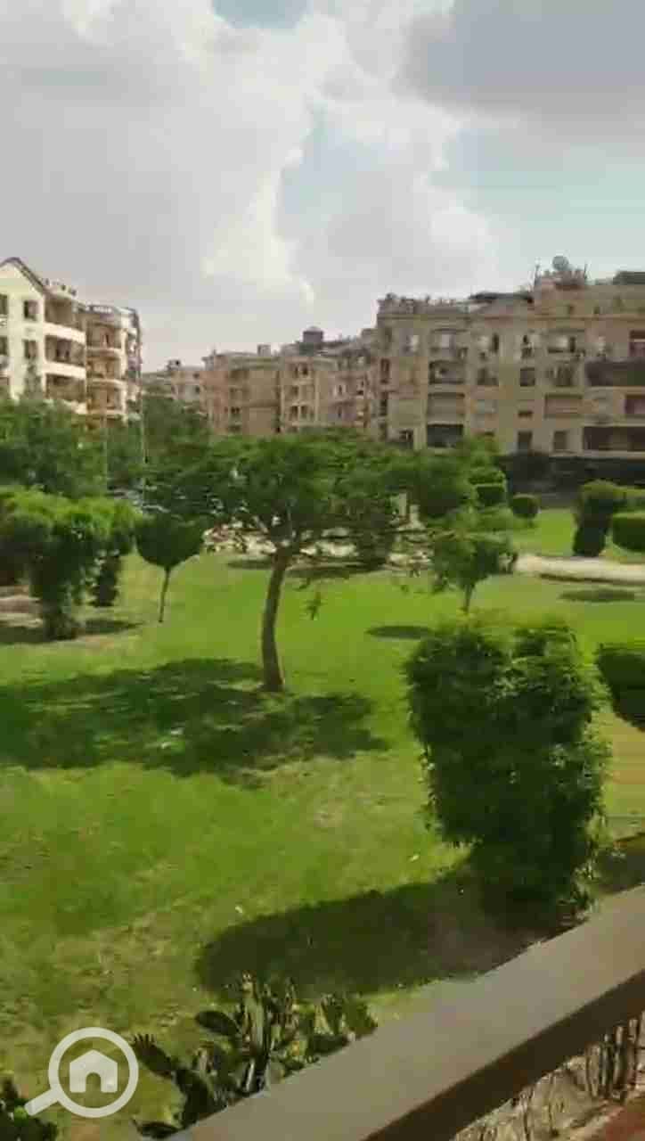 10 36349. jpg
