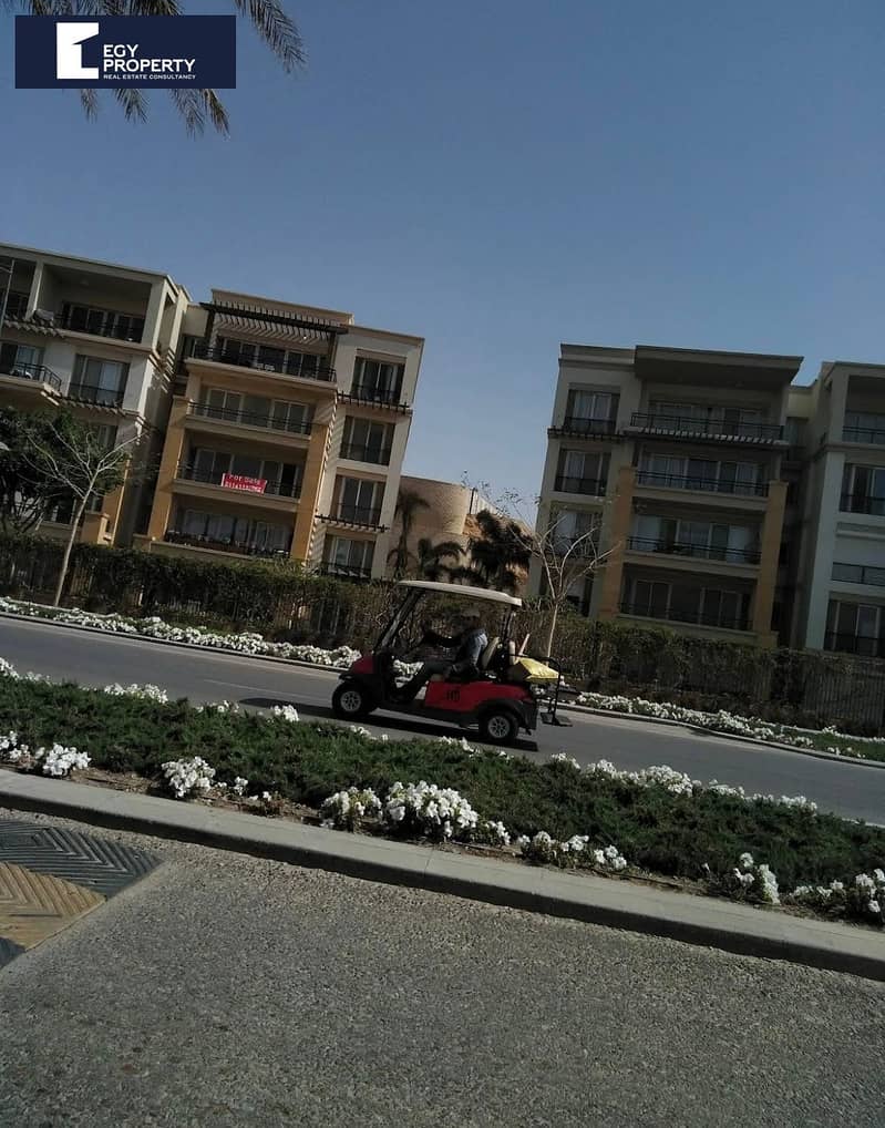8 IMG_9487. PNG