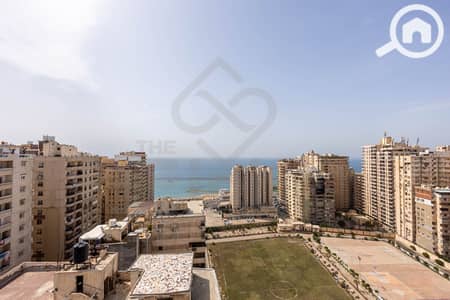 دوبلكس 5 غرف نوم للبيع في العصافرة، الإسكندرية - (1) IMG_7381. jpg دوبلكس 5 غرف نوم للبيع في العصافرة، الإسكندرية - (1) IMG_7381. jpg