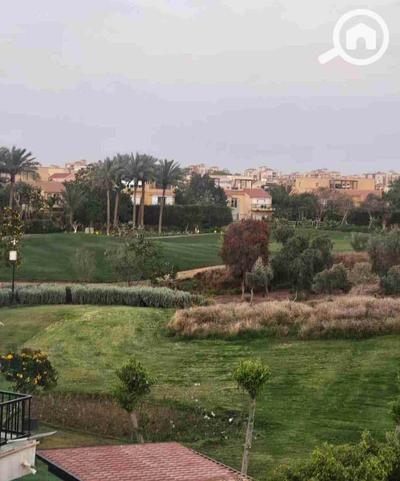 20 1000378047. jpg