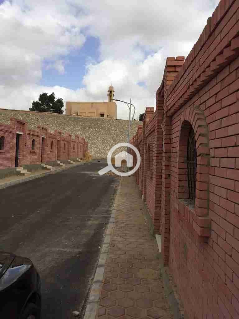 2 1000042838. jpg