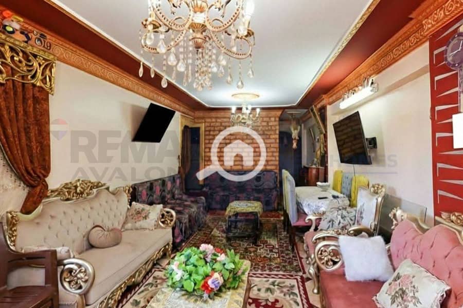 Apartment for sale 115 m Smouha (Zaki Rajab St.) - Widok 4