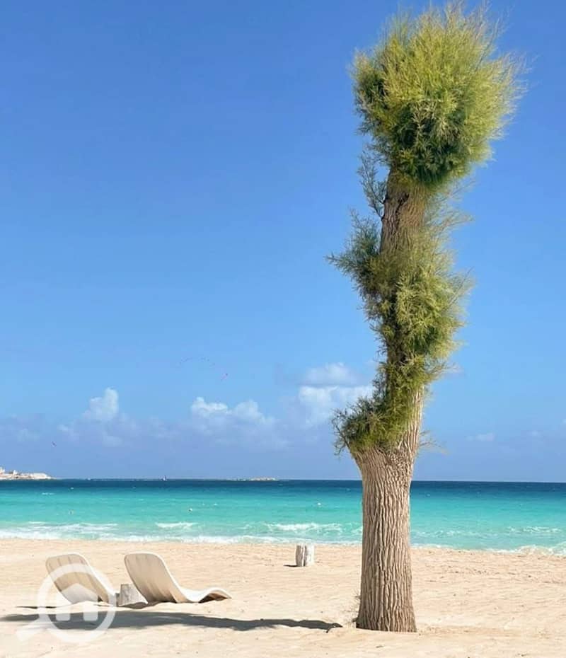 7 Marsa Baghush 3. jpeg