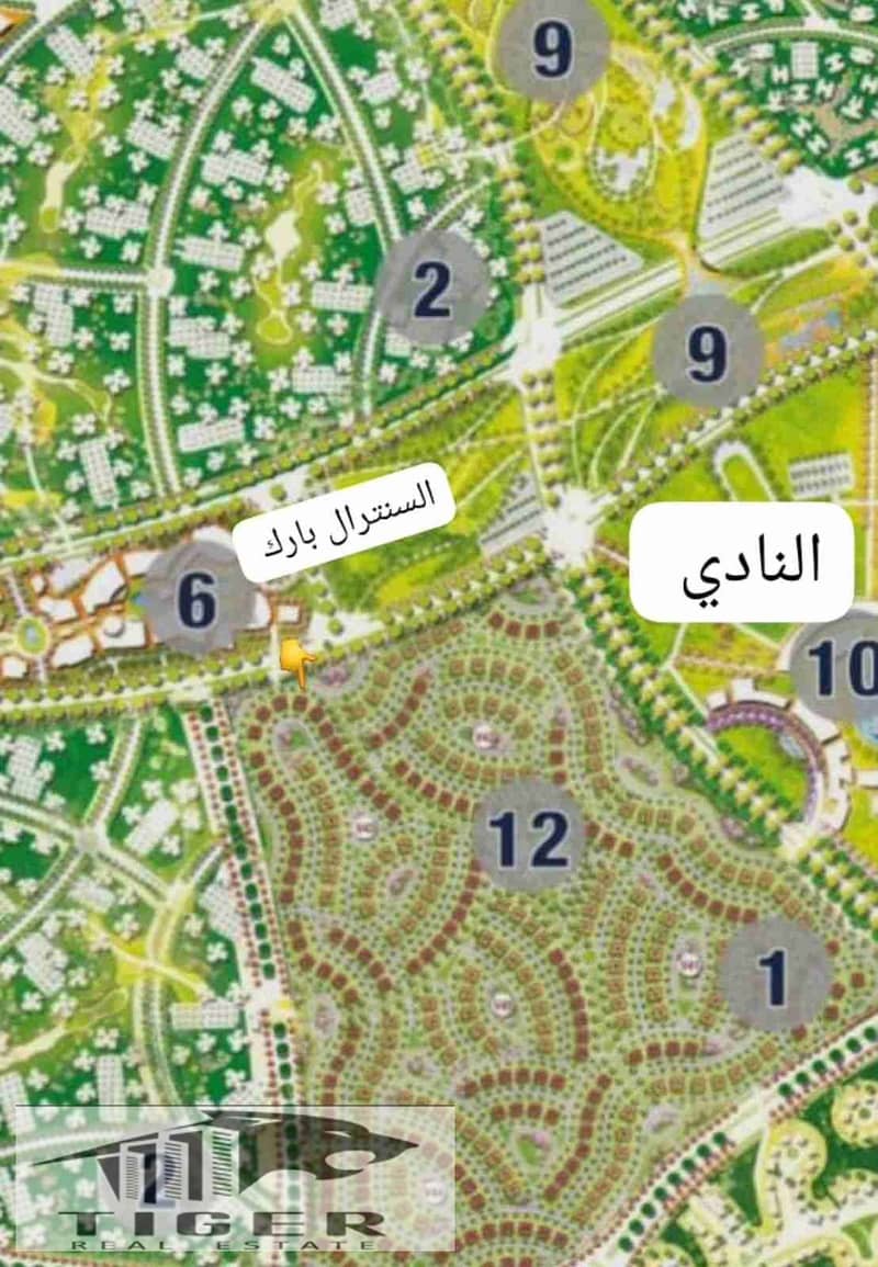 7 120403. jpg