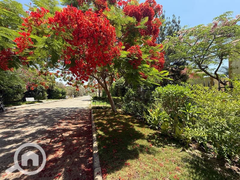 Luxury Apartment for Sale in City View – New Giza with Panoramic Golf View – další