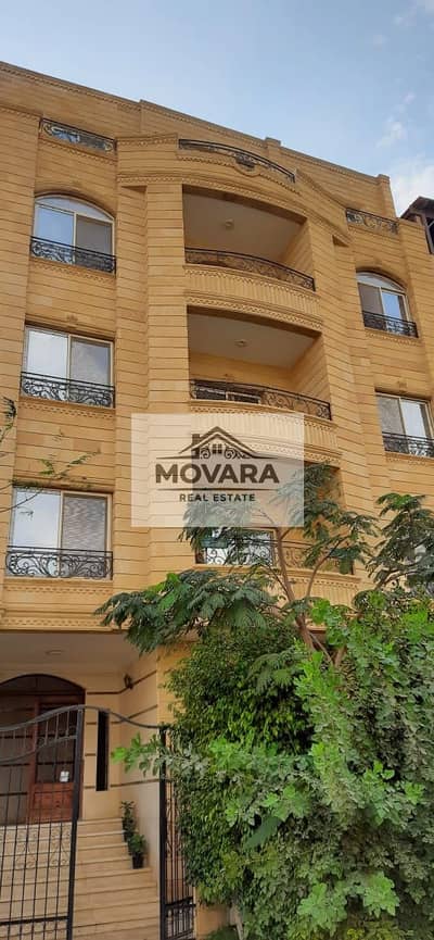 3 Bedroom Flat for Rent in New Cairo, Cairo - WhatsApp Image 2026-04-20 at 5.17. 25 PM (1). jpeg 3 Bedroom Flat for Rent in New Cairo, Cairo - WhatsApp Image 2026-04-20 at 5.17. 25 PM (1). jpeg