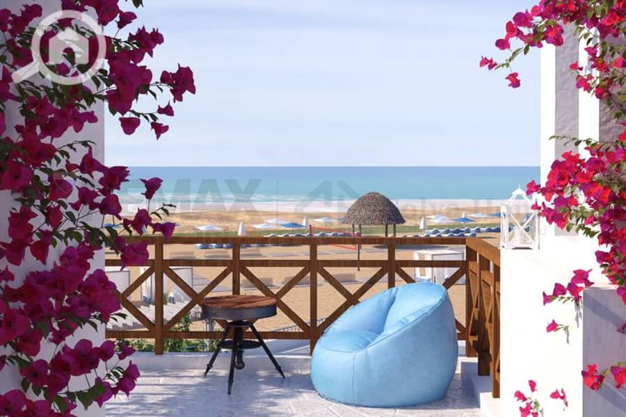 12 13. jpg