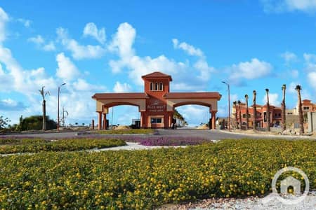 فلیٹ 3 غرف نوم للبيع في عجمي، الإسكندرية - 1. jpg