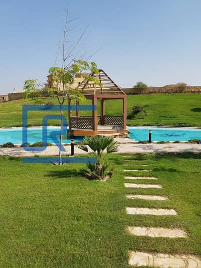 4 Bedroom Townhouse for Sale in Sheikh Zayed, Giza - IMG-20241210-WA0252_Mohamed_Mohsen_Youss. jpg 4 Bedroom Townhouse for Sale in Sheikh Zayed, Giza - IMG-20241210-WA0252_Mohamed_Mohsen_Youss. jpg