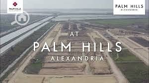 PALM HILLS ALEXANDRIA - Widok 2