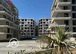 PALM HILLS ALEXANDRIA - Widok 3