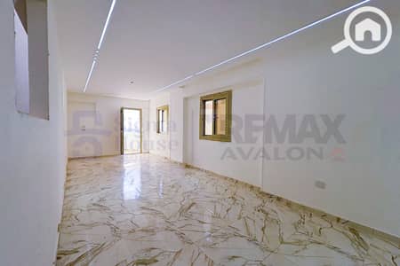 3 Bedroom Flat for Sale in Smoha, Alexandria - 1. jpg