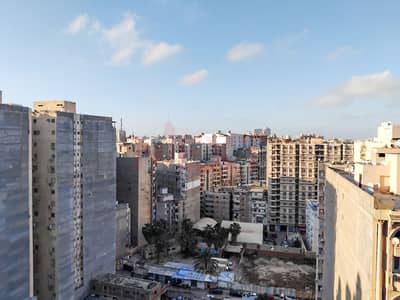 4 Bedroom Apartment for Sale in Smoha, Alexandria - WhatsApp Image 2026-04-20 at 4.29. 29 PM (2). JPG 4 Bedroom Apartment for Sale in Smoha, Alexandria - WhatsApp Image 2026-04-20 at 4.29. 29 PM (2). JPG
