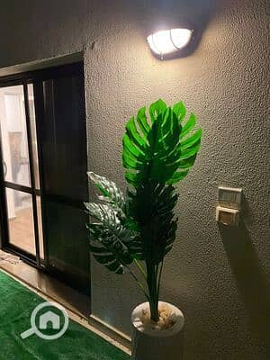 4 WhatsApp Image 2026-04-23 at 12.47. 14 PM. jpeg