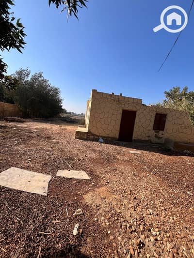 Land for Sale in Fayoum City, Fayoum - WhatsApp Image 2026-04-23 at 12.56. 44 PM (2). jpeg Land for Sale in Fayoum City, Fayoum - WhatsApp Image 2026-04-23 at 12.56. 44 PM (2). jpeg