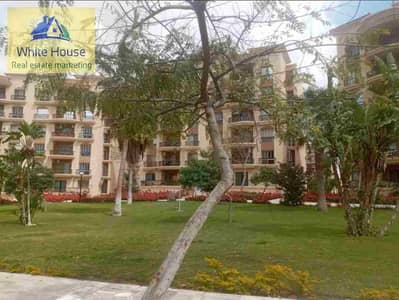 2 Bedroom Flat for Rent in New Cairo, Cairo - 1000328978. jpg 2 Bedroom Flat for Rent in New Cairo, Cairo - 1000328978. jpg