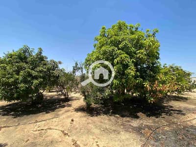 Agricultural Land for Sale in 6th of October, Giza - 1000000766. jpg Agricultural Land for Sale in 6th of October, Giza - 1000000766. jpg