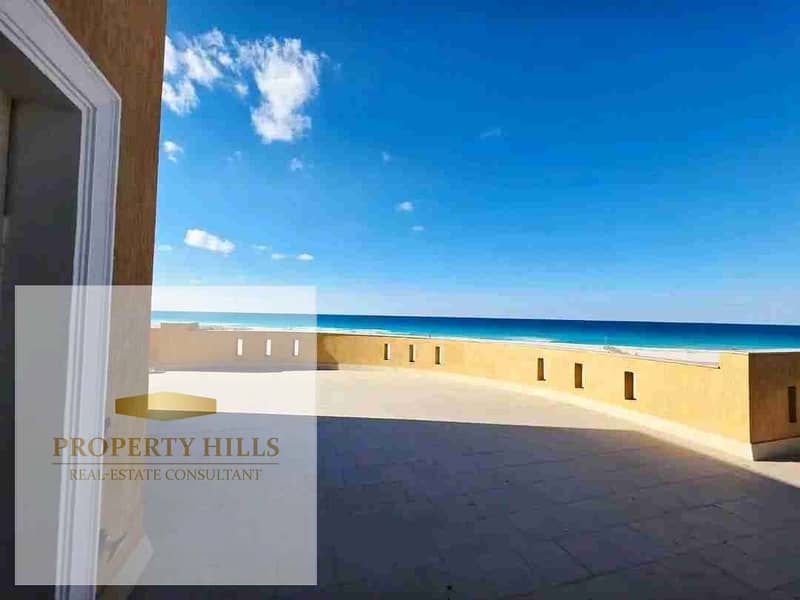 4 1000121407. jpg
