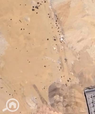 أرض تجارية للبيع في القاهرة الجديدة، القاهرة - 74b3dafe-32b7-418e-8771-5224661ddeab. jpg أرض تجارية للبيع في القاهرة الجديدة، القاهرة - 74b3dafe-32b7-418e-8771-5224661ddeab. jpg