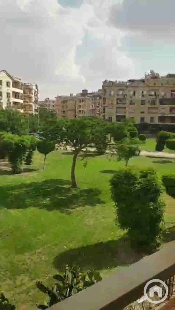 8 36349. jpg
