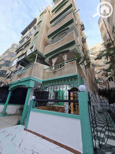 شاليه 2 غرفة نوم للبيع في النخيل، الإسكندرية - 1000822726. jpg
