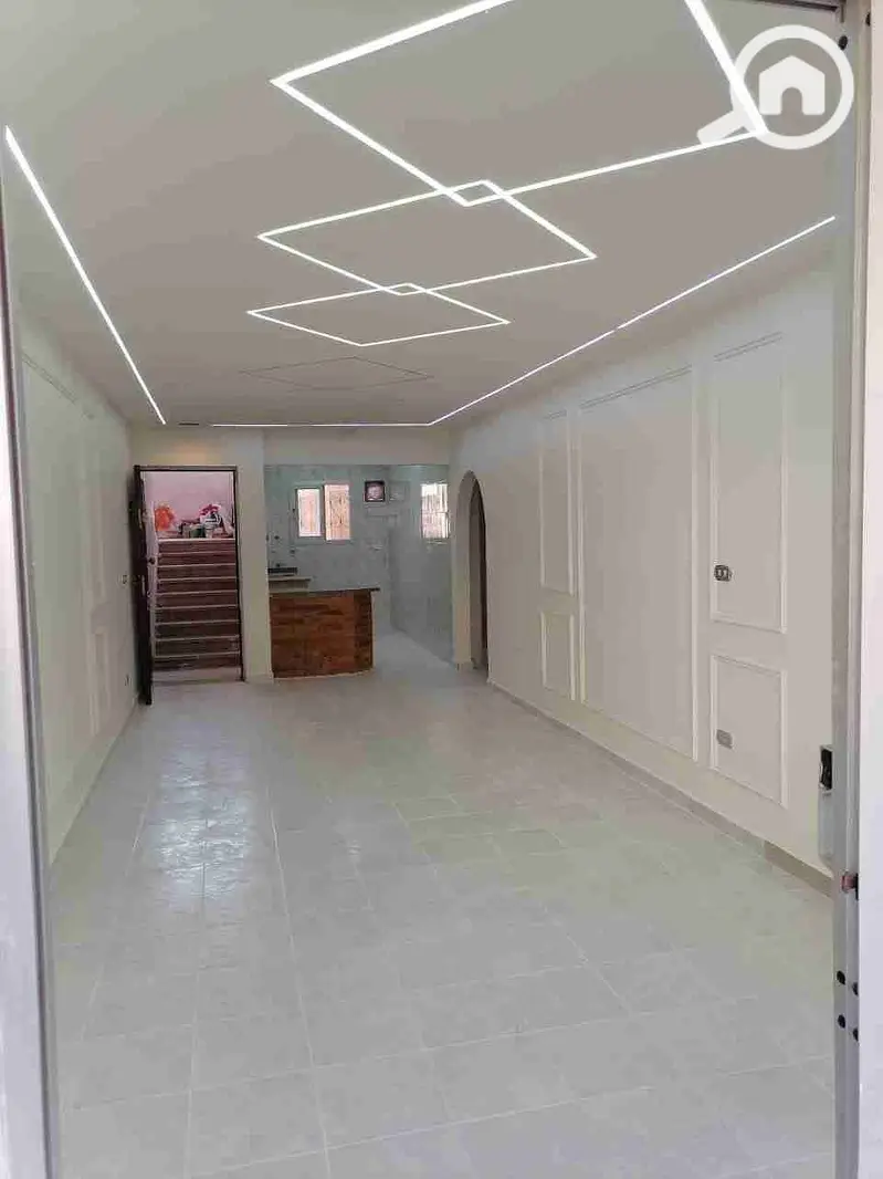 Apartment in Alexandria - View 5