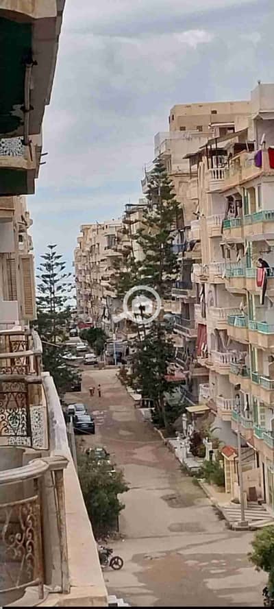شقة 2 غرفة نوم للبيع في النخيل، الإسكندرية - 1000533294. jpg