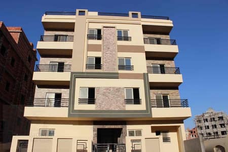 فلیٹ 3 غرف نوم للبيع في القاهرة الجديدة، القاهرة - 2bd93335-2198-4a69-8dc7-4e57eda7423d. jpg فلیٹ 3 غرف نوم للبيع في القاهرة الجديدة، القاهرة - 2bd93335-2198-4a69-8dc7-4e57eda7423d. jpg