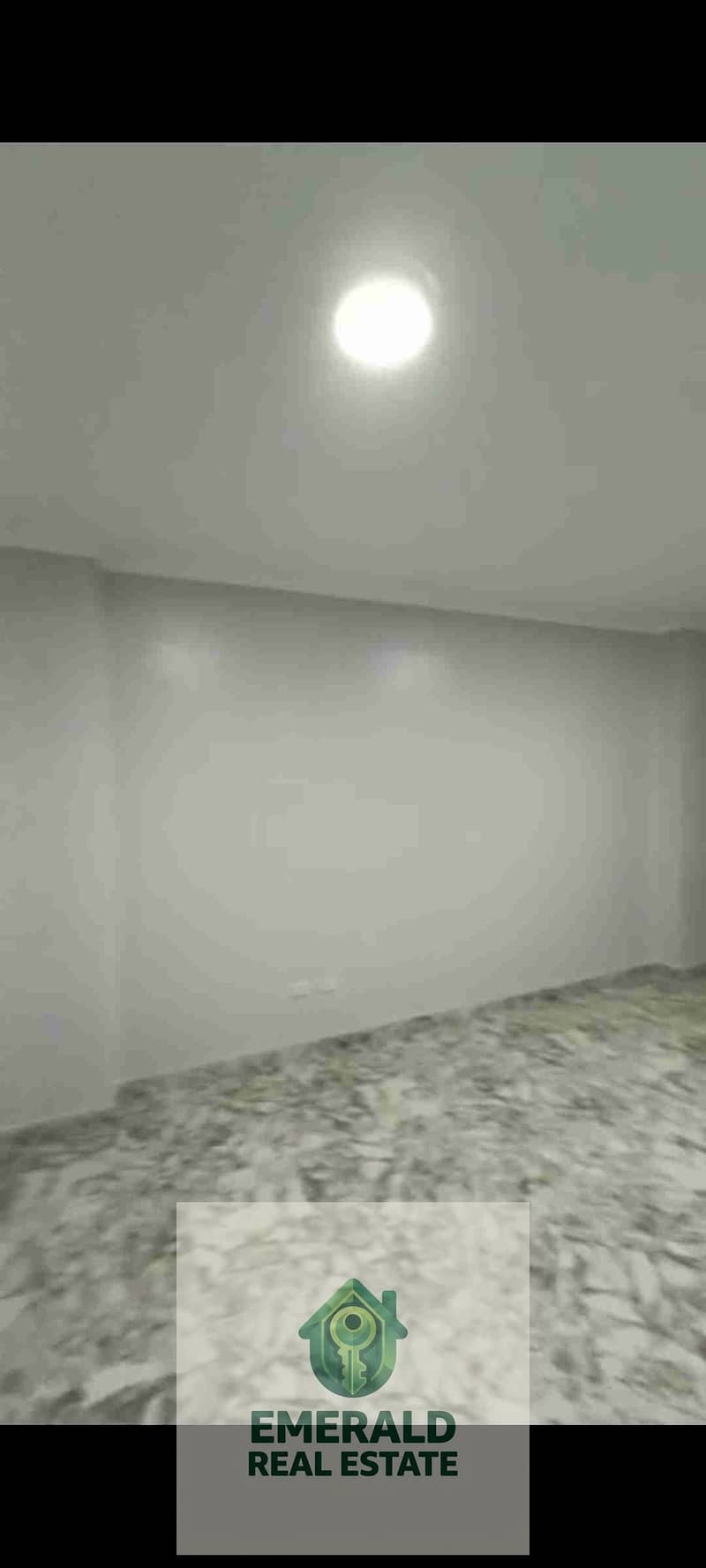 12 1000554110. jpg
