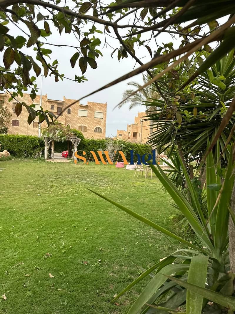 9 168676. jpg
