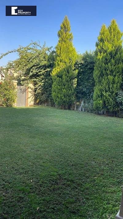 4 Bedroom Villa for Rent in New Cairo, Cairo - _files_WhatsApp Image 2026-04-11 at 12.52. 11 AM (7). jpeg