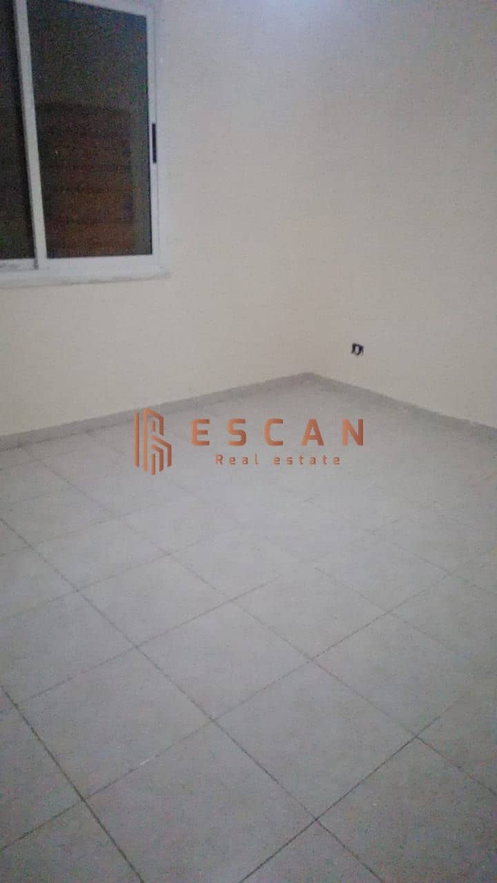 5 55. jpg